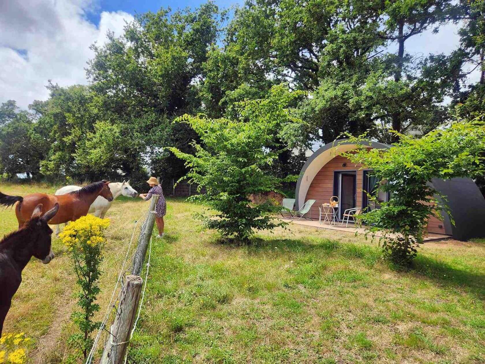 Gites & Tiny Houses Les Hauts De Toulvern Баден Номер фото